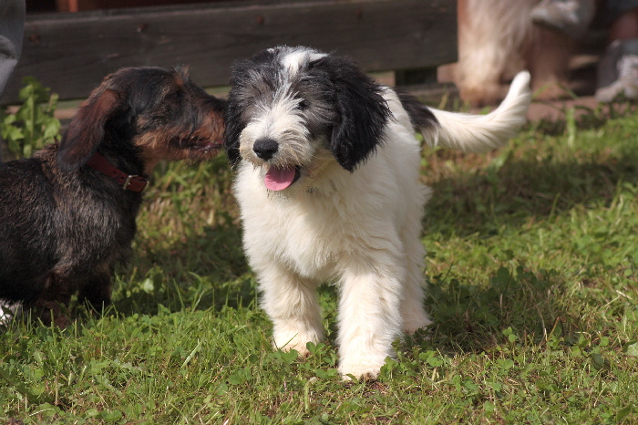 Holly kaspert mit Emma rum.